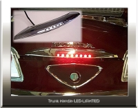 trunk.jpg