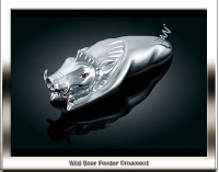 wild_boa.jpg